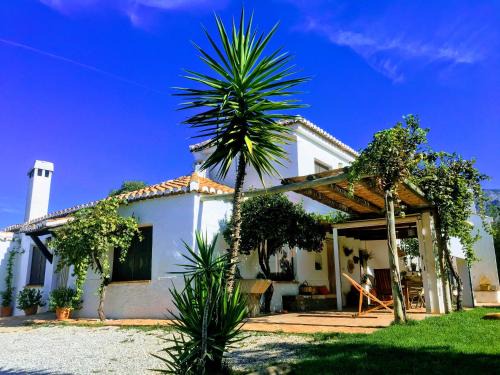 Nigüelas Casa | Slow House sa mayma
