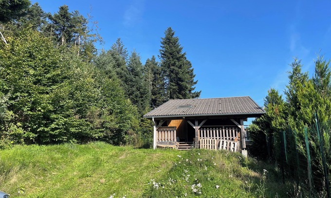 Dommartin-les-Remiremont Chalet De Esquí | Small chalet and large green area for pets.