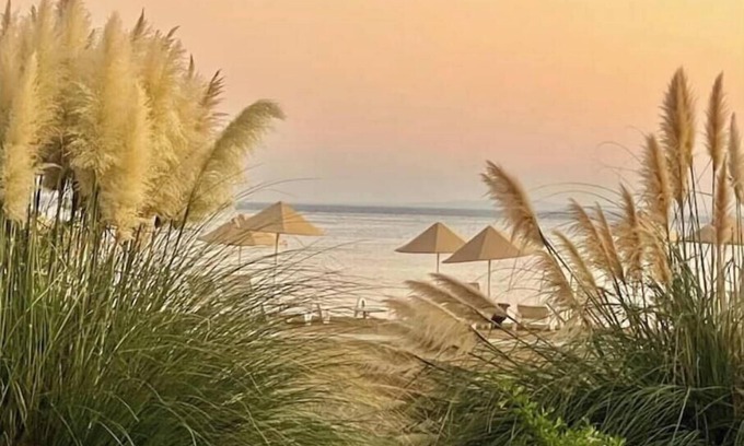 Bafra Complejo | Smart Olive Suite by the Sea
