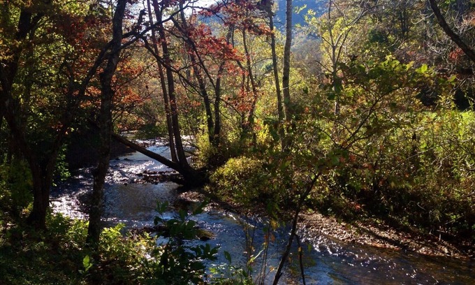 Otto Cabaña | Privacidad frente a Smoky Mountain Creek