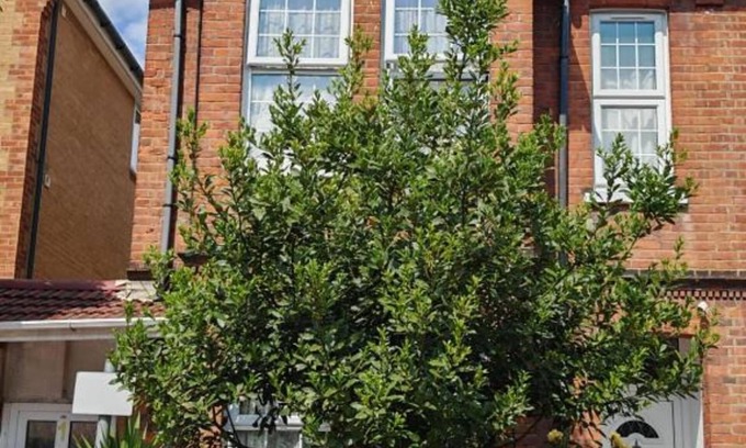 Slough Apartamento | SnoozeDen Wellesley – Near to Slough Station