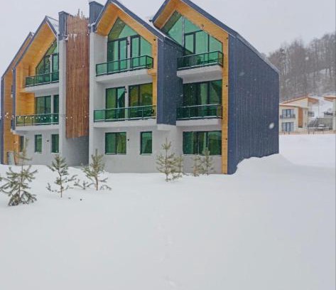 Bakuriani Apartamento | snow forest bakuriani apartment eight
