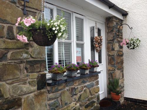 Dolgellau Apartamento | Snowdonia Snug - Studio Style Accommodation
