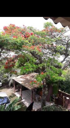 Arroio do Sal Casa | Sobrado com vista profissional do mar