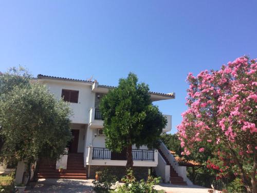 Thasos Casa | Sofia Villa