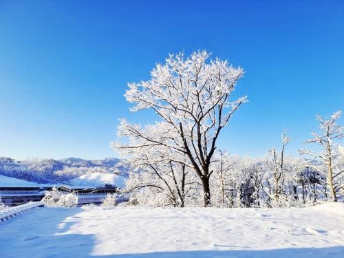 Sokcho Casa | Sokcho Ulsanbawi Bed and Breakfast