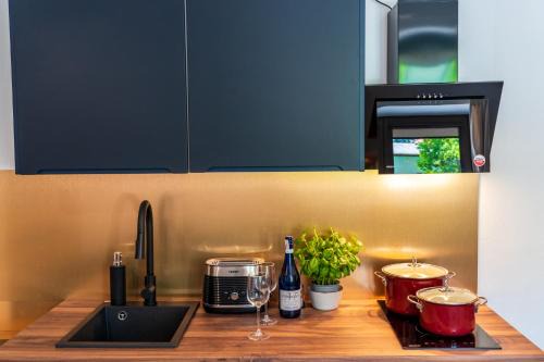 Poniatowa Apartamento | Sokowirówka