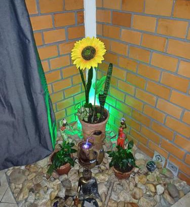 Pedrita Apartamento | Sol do Girassol