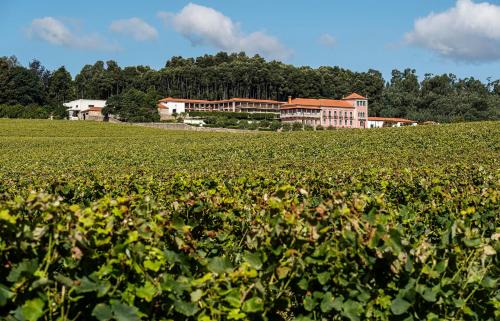 Silveiros Hotel | Solar de Vila Meã