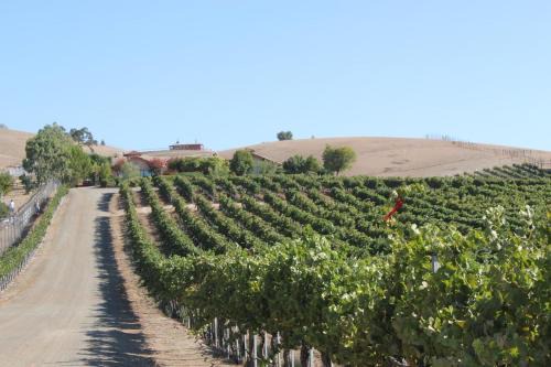 Paso Robles Casa | Solitude I