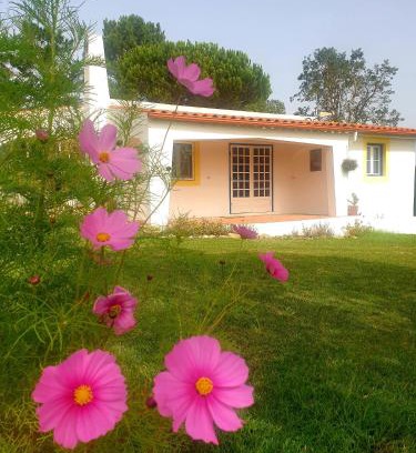 Sao Martinho do Porto Chalet De Esquí | Sondela Self Catering