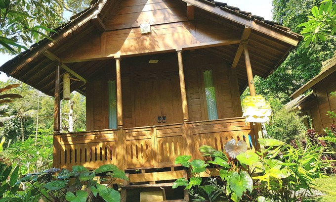 Payangan Cama Y Desayuno | Song Broek Jungle Resort