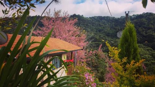 Goncalves Cabina | Sonho na Serra Chalé 1