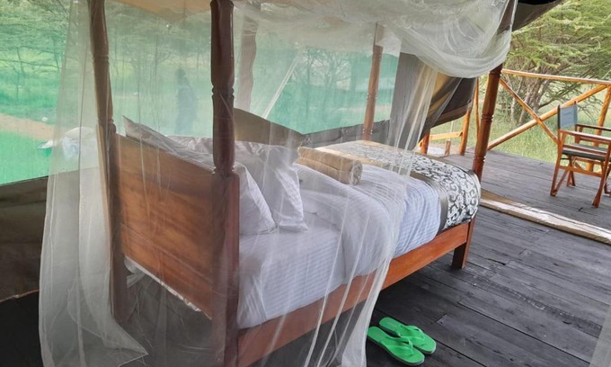 Kenya Cama Y Desayuno | Sonkoi Tent Safari Camp