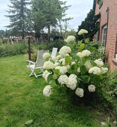 Lasbek Apartamento | Sonnenscheinhof Alpakas, Ferienwohnung