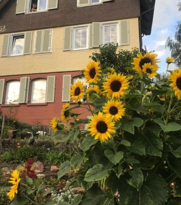 Schramberg Apartamento | sonnige Ferienwohnung