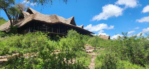 Murka Otro | Soroi Cheetah Tented Camp