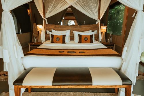 Mara North Conservancy Otro | Soroi Luxury Migration Camp
