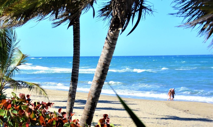 Cabarete Apartamento | Sosua Bachelor Party 10 BR Beachfront Mini Resort BONIFICACIONES GRATUITAS