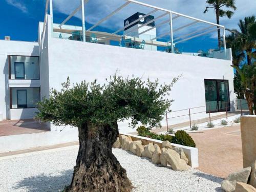 Playa de la Almadrava Hotel | Soul Beach Hotel By Mc - Adults Recommended
