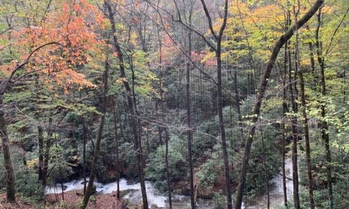 Otto Casa | Sound of Rushing RAPIDS/ Private wooded location/Hiking Trail/Hot Tub