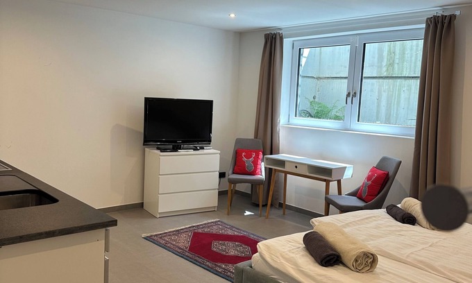 Industriebezirk Apartamento | Souterrain Wohnung in Exklusiver Villa Nähe Nymphenburger Schlosspark