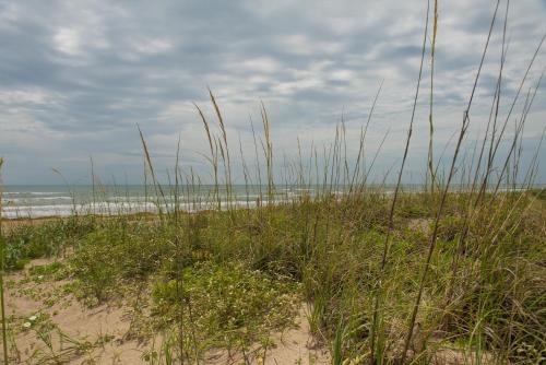 South Padre Island Apartamento | South Padre Island Beach Rentals