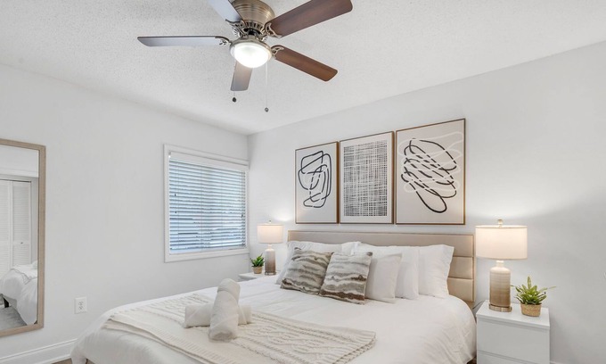 New Suburb Beautiful Apartamento | South Tampa Apartment minutes away from Downtown, Dining and Entertainment