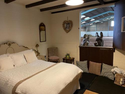 Kneesall Otro | Southfields Farm
