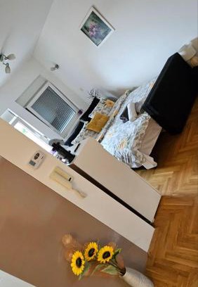 Vrsac Apartamento | Sova