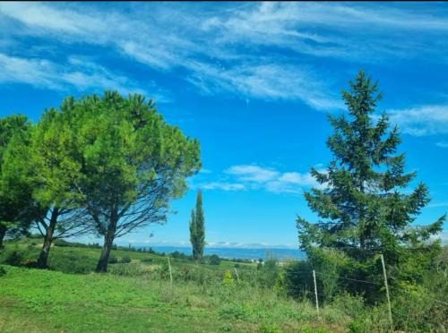 Alairac Apartamento | Spa Balnéo animaux aux portes de Carcassonne