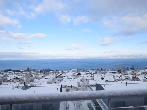 Evian-les-Bains Apartamento | Spacieux appartement 4 pers avec balcon, wifi et animaux admis - FR-1-498-101