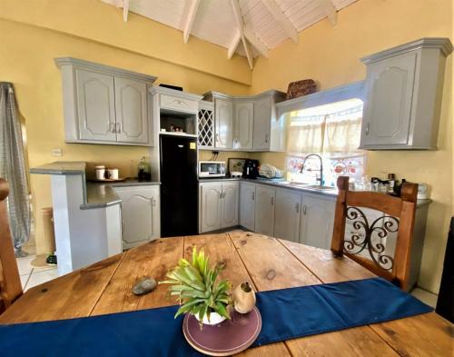 Vieux Fort Apartamento | Spacious 2-Bedroom, 2-Bath Apartment 5 Mins to Sandy Beach & Airport