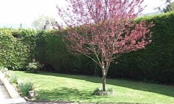 Sourdeval-les-Bois Cabaña | Amplio Cottage capacidad para 5, Con la bien equipada sala de juegos y jardín soleado
