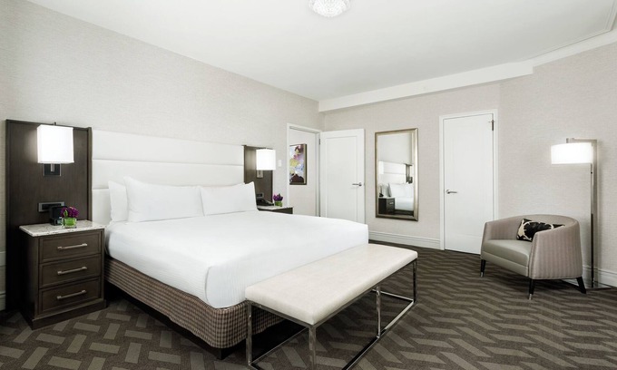 Downtown Boston Hotel | Spacious Downtown Room Close to Public Transports | Pets Are Allowed