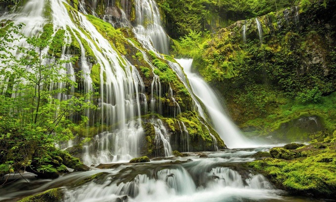 Lake Forest Casa | Spacious extended-stay hotel near Portland - Lake Oswego