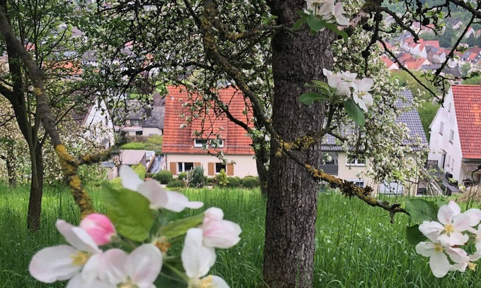 Dalhausen Casa | Spacious family accommodation for group 10p, beautiful view, pet friendly!