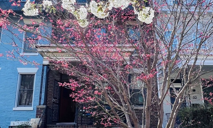 Bloomingdale Casa | Spacious four-bed, three-and a half- bath townhome in Washington DC.