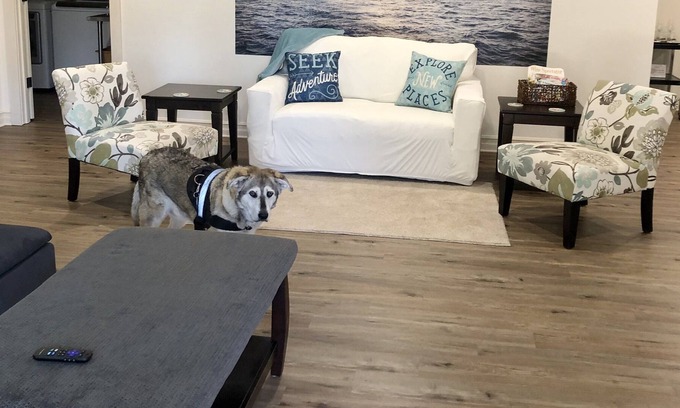 Anacortes Casa | Spacious, one level pet-friendly gem with fenced yard, 5 minutes from the ferry!