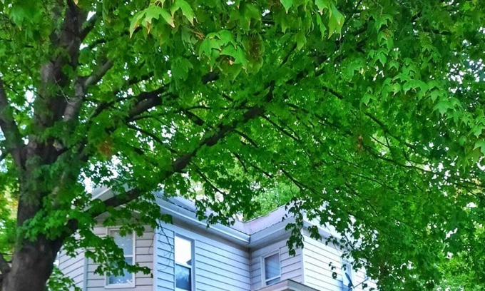 Palmyra Casa | Spacious remodeled Victorian home, close to downtown Palmyra!