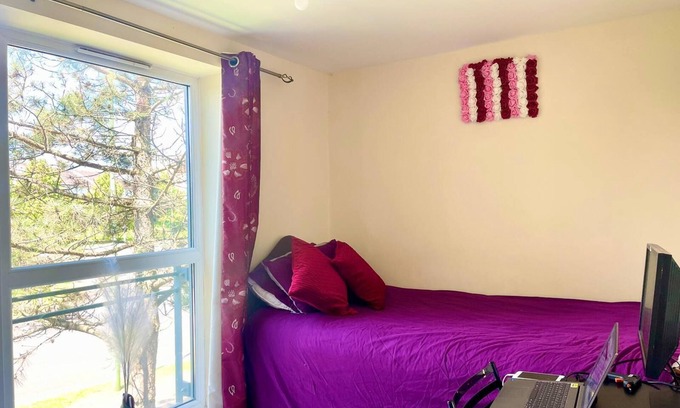 Hatfield Cama Y Desayuno | Spacious room with study table next to university