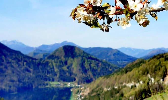 Lunz am See Apartamento | Spacious vacation apartment (110sqm) for up to 5 people
