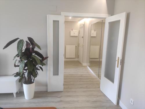 Bilbao la Vieja Apartamento | Spacious with free parking in Old Town-Casco Viejo