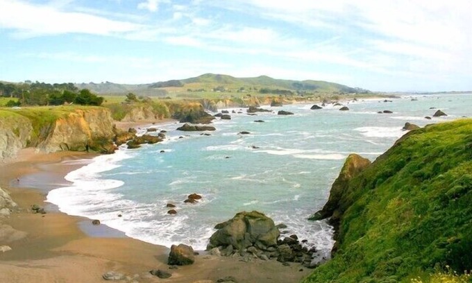 Bodega Bay Cabaña | ¡Experiencia espaciosa pero acogedora en Bodega Bay!