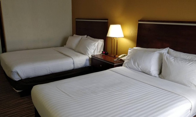 Roanoke Hotel | Comfort Inn Roanoke Civic Center