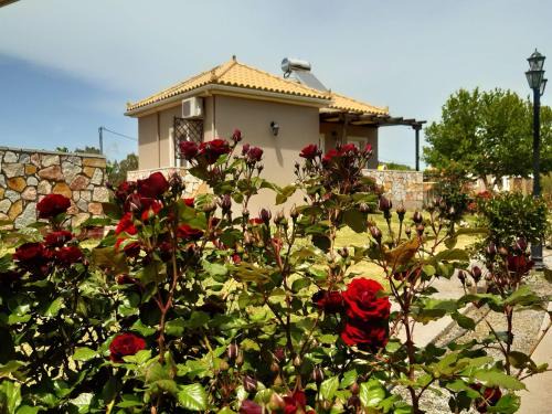 Gythio Casa | Spedion Villa - Near to sea with heated swimming pool