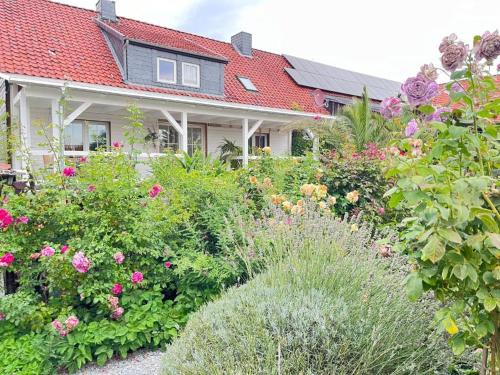 Nordharz Apartamento | Spindlerhof am Harz