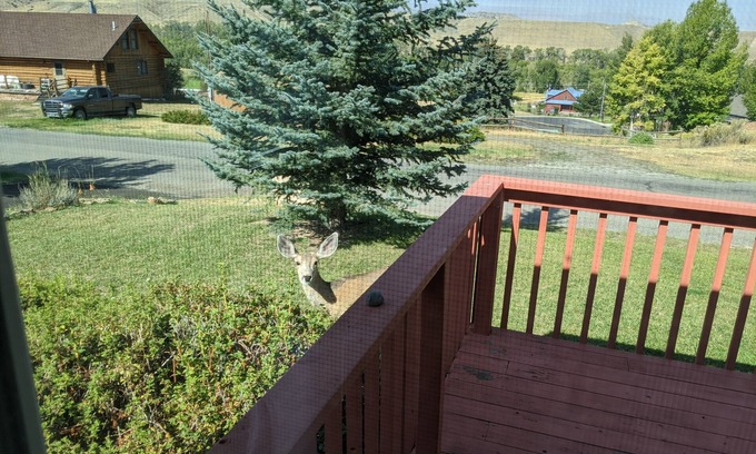 Meeteetse Casa | Splendid Absaroka Mountain and Greybull River View