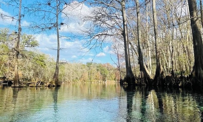 Newberry Casa | SPRING HAVEN RETREAT! A BEUTIFULL ANDSPOTLESS!