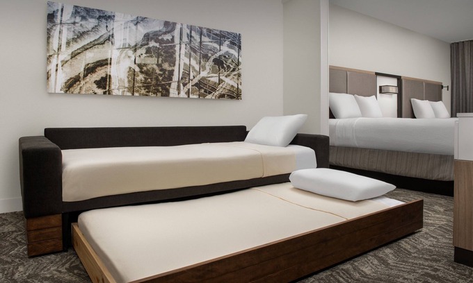 Buford Hotel | SpringHill Suites by Marriott Atlanta Buford/Mall of Georgia